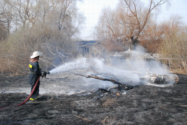  Россельхозбанк принимает средства в помощь пострадавшим от лесных пожаров!